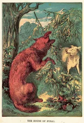 Das Haus des Ginsters